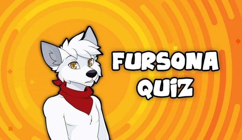 What Furry Animal Are You? – Quiz