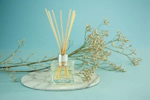 Best Smelling Essential Oils for Diffuser To Refresh Your Home