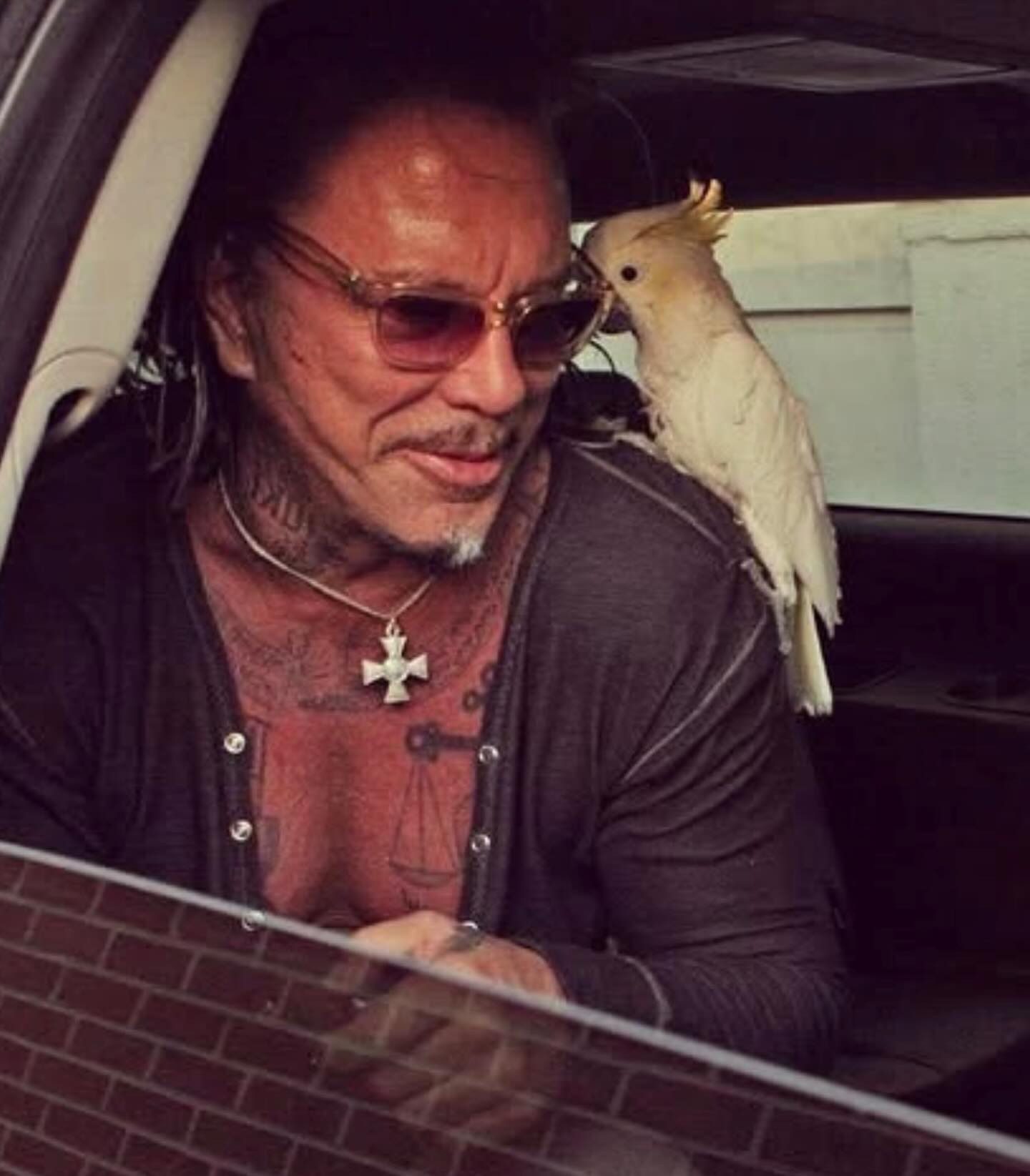 Mickey Rourvh Mickey Rourke Net Worth and What His Hollywood Journey Earned