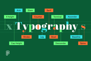 The Hidden Structure of Typefaces That Shapes Better Design Decisions