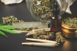 What Makes Gusher Runtz Bulk Hybrid Strain a Top Choice for Buyers?​