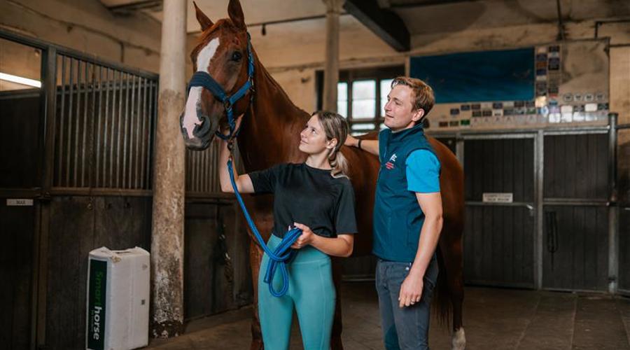 Horses for Courses: Matching the Pen to the Job It Actually Has to Do