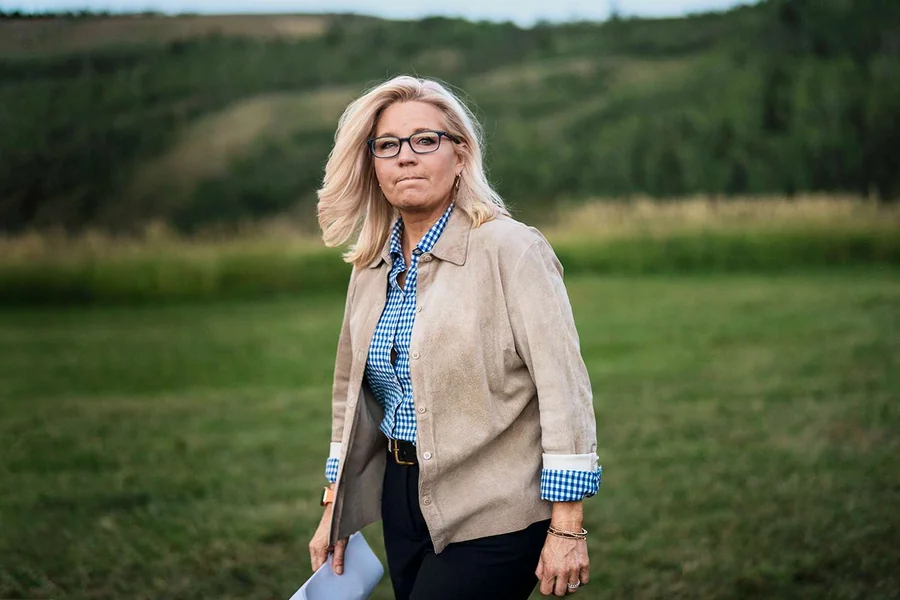 Liz Cheney Net Worth