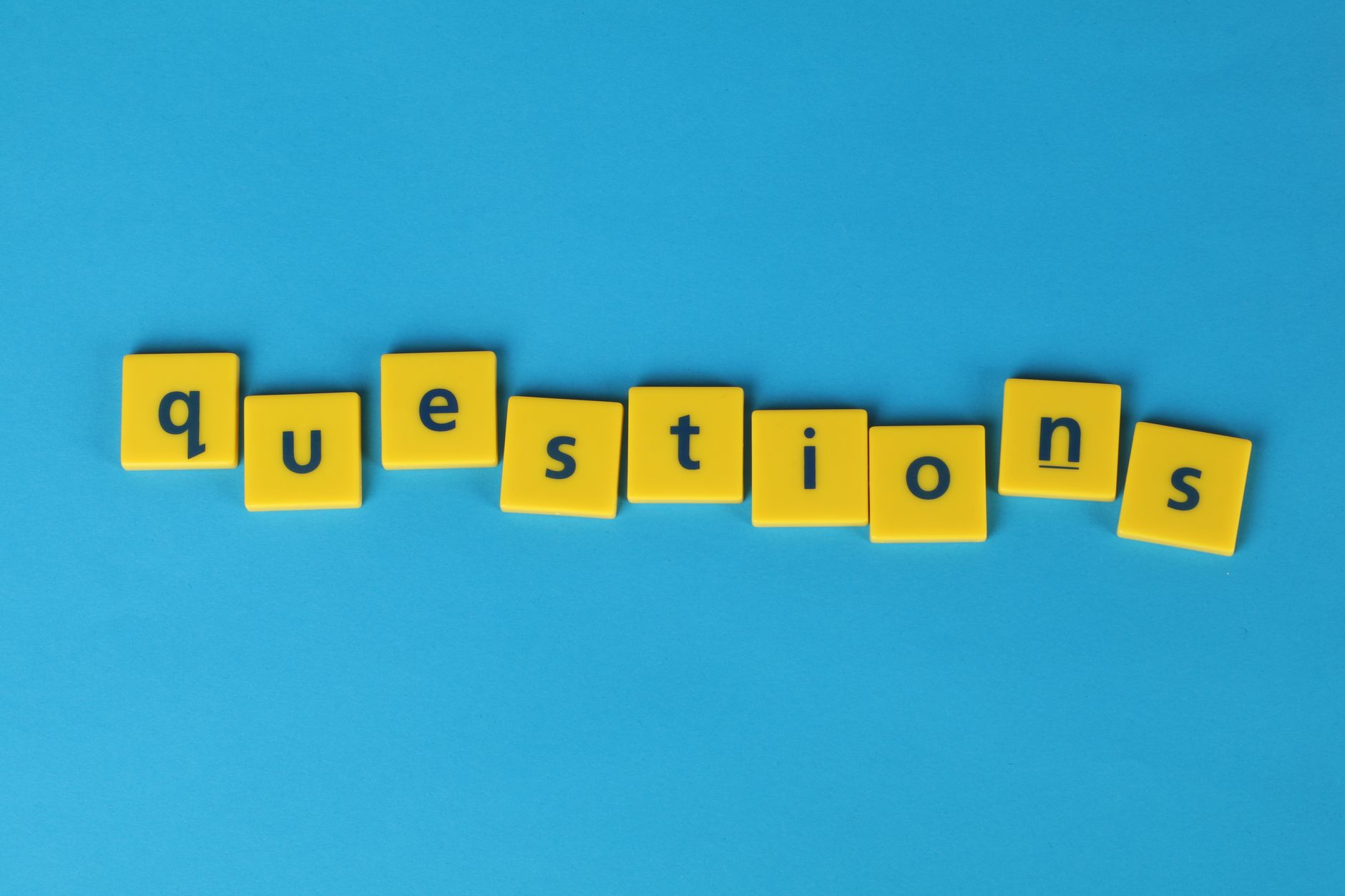 7 Questions to Ask Before Booking a Professional Dog Boarding Service 7 Questions to Ask Before Booking a Professional Dog Boarding Service
