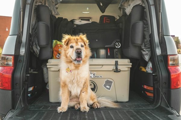 Car Fridge