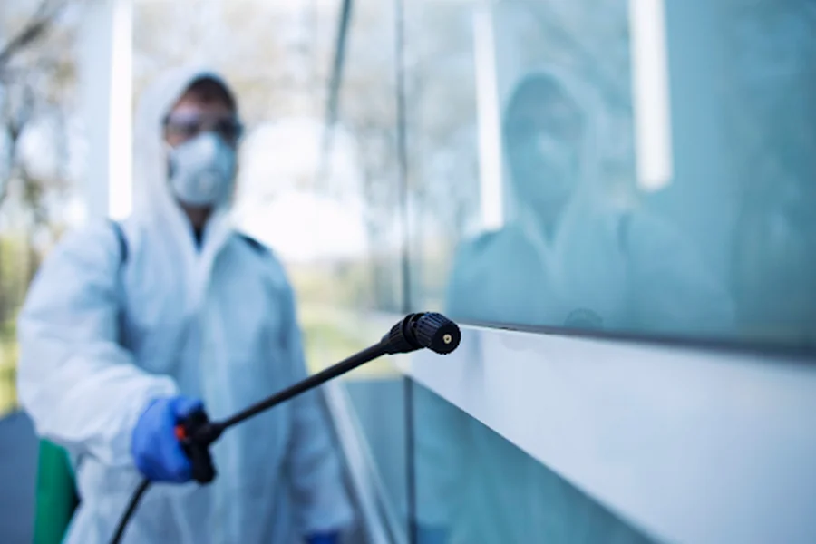 Why Regular Termite Inspections Are Worth Considering